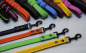 Bullyzei Kurzführer gummiert 20mm x 40cm  ohne Schlaufe, schwarzer Karabiner