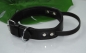 Bullyzei Lederhalsband mit Griff 60cm Hetzhalsband
