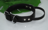 Bullyzei Lederhalsband mit Griff 60cm Hetzhalsband