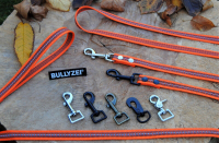 Bullyzei Leine gummiert + reflektierend 20mm x 15m ohne Schlaufe, orange