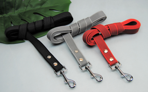 Bullyzei Leine gummiert 25mm x 2m mit Schlaufe
