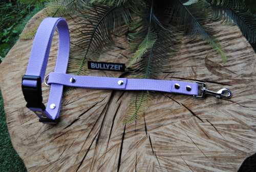 Suchgeschirr Böttcher FLIEDER Gr.L Nylon 25mm fester Steg